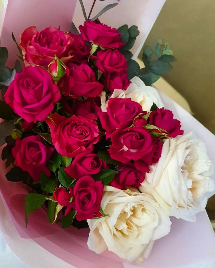 Whispers of Dawn Pastel Blooms
